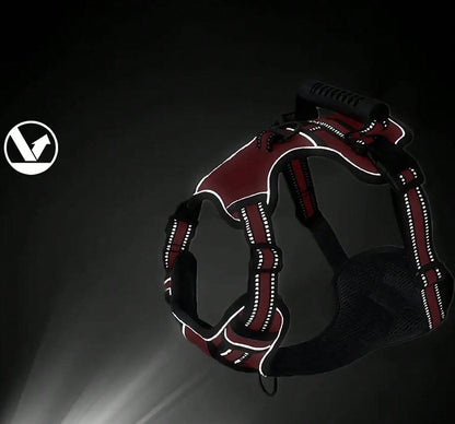 Kose-Krok hundepakke - 5 deler