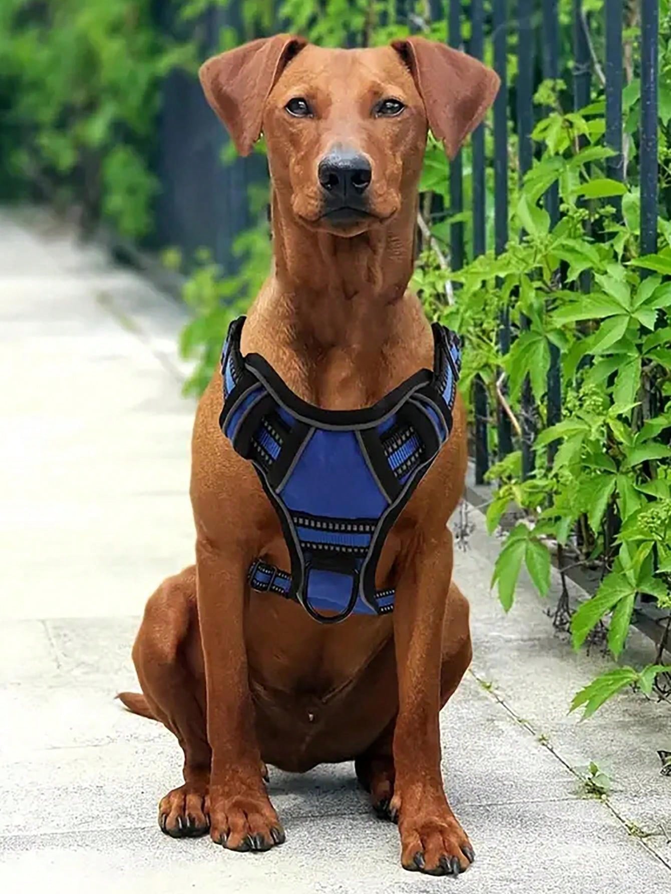 Kose-Krok hundepakke - 5 deler