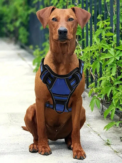 Kose-Krok hundepakke - 5 deler