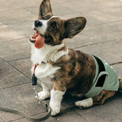 Hunde bleie Kose-Krok